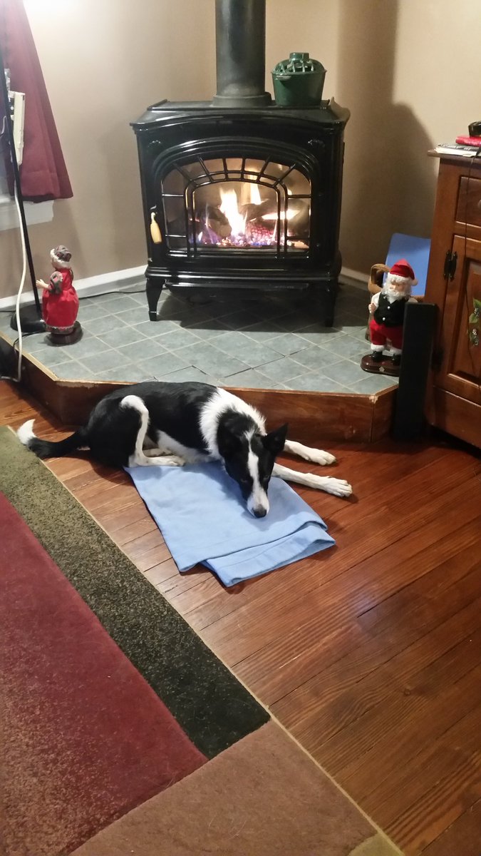 Skeets taking the day off happy holidays to everyone