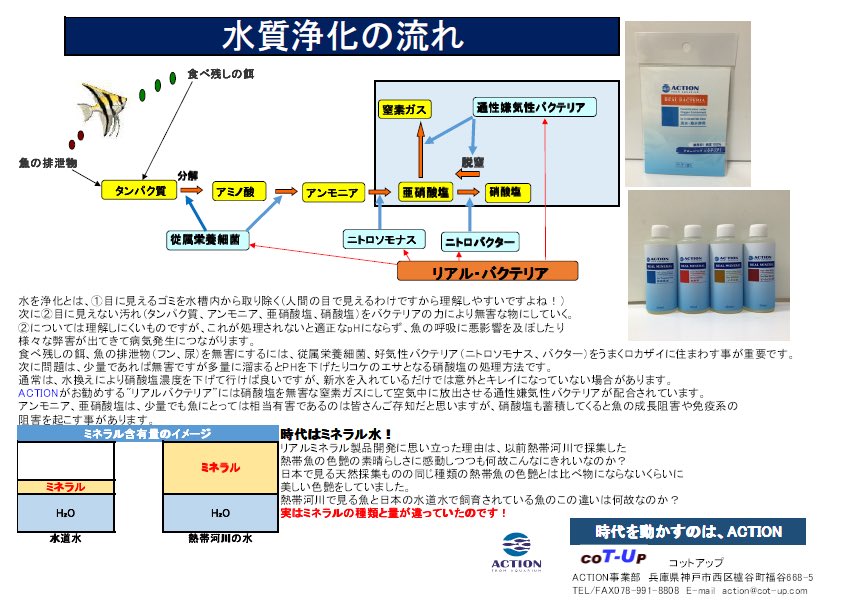 Action No Twitter リアルバクテリアは好気性バクテリアに加え 通性嫌気性バクテリアを過密飼育を考慮し配合することにより これ一つで簡単にph低下や藻類発生の原因となる硝酸塩を大幅に除去することができます ミネラル 熱帯魚 濾過 生物濾過 T Co Action No Twitter リアルバクテリアは好気性バクテリアに加え 通性嫌気性バクテリアを過密飼育を考慮し配合することにより これ一つで簡単にph低下や藻類発生の原因となる硝酸塩を大幅に除去することができます ミネラル 熱帯魚 濾過 生物濾過 T Co