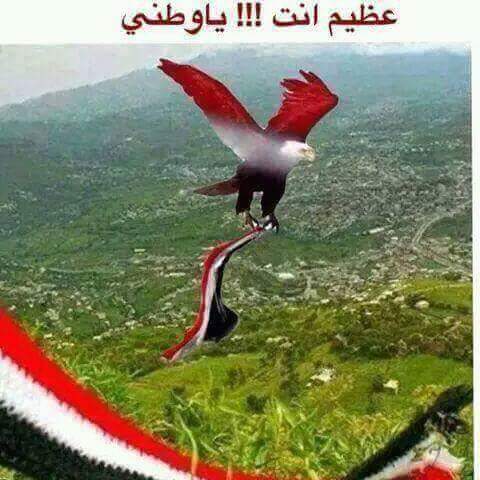 يايمن ملعون من خانك وستين ملعون.. لا خنت حبك كلهم يلعنوني. اغليك حتا اصير في القبر مدفون