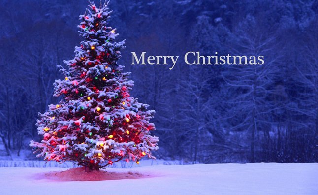 kypredtrpak's tweet photo. Merry Christmas!!!! https://t.co/k1zBRLA0FT