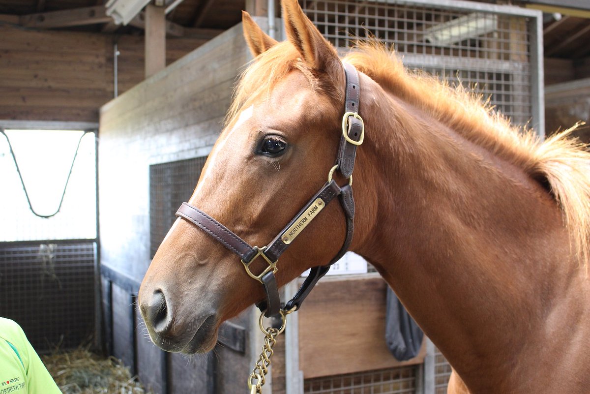 ちひろ Chihiro Gs 16年12月 Page 3 Twilog ちひろ Chihiro Gs 16年12月 Page 3 Twilog