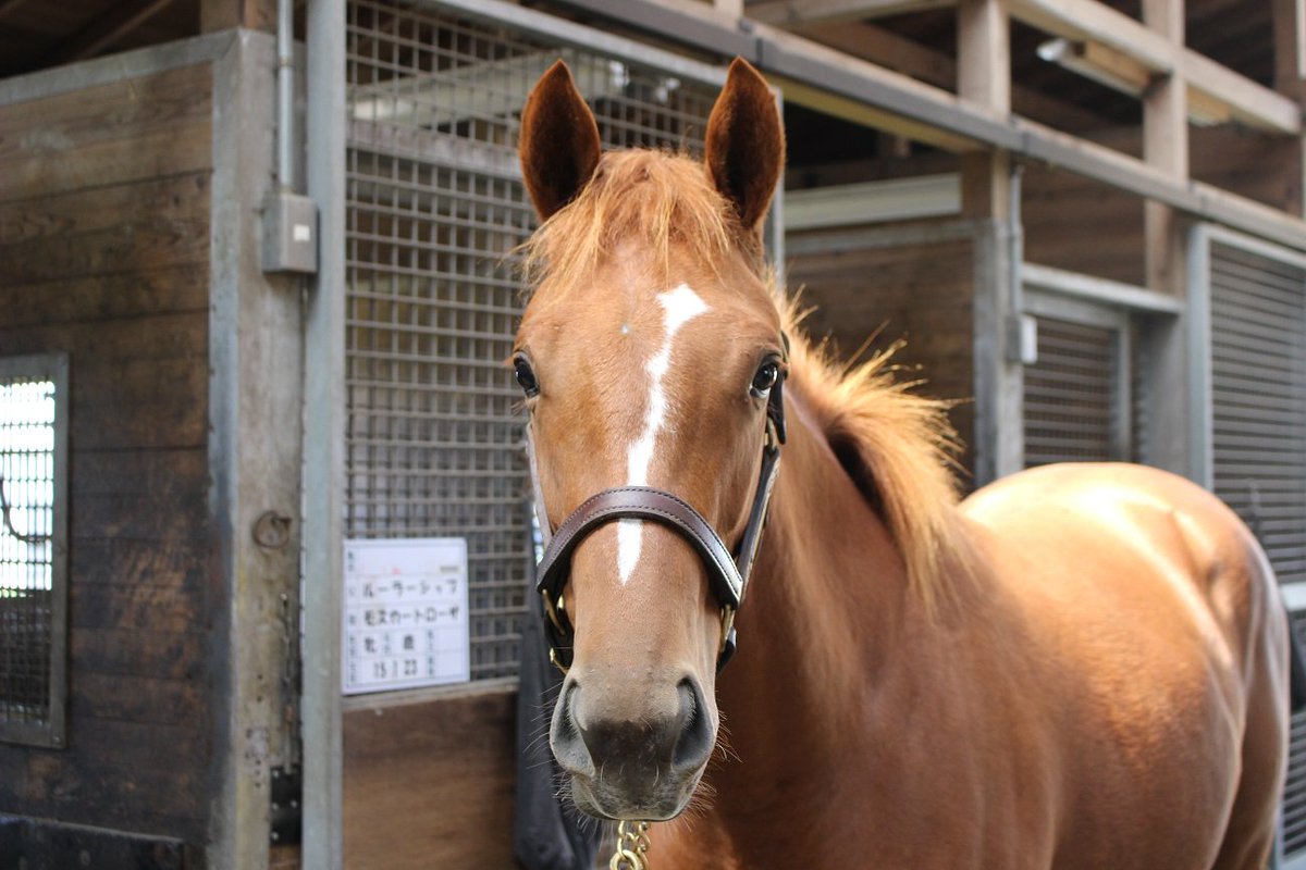 ちひろ Chihiro Gs 16年12月 Page 3 Twilog ちひろ Chihiro Gs 16年12月 Page 3 Twilog