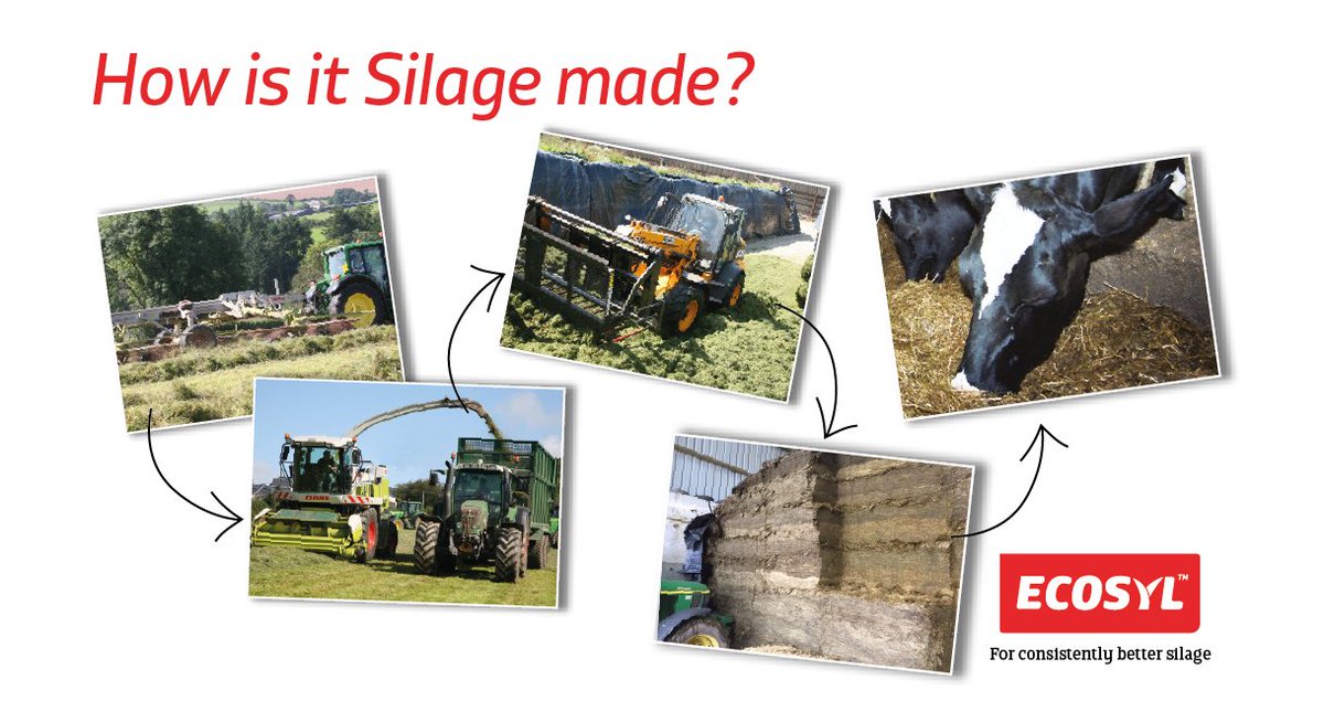 ecosyl_'s tweet photo. Learn more about #silage making best practice. ππΎhttps://t.co/yhIDMJEiTa #silage16 #consistentlybettersilage @FarmersOfTheUK @dairy_farmers https://t.co/9BpGubaoGL