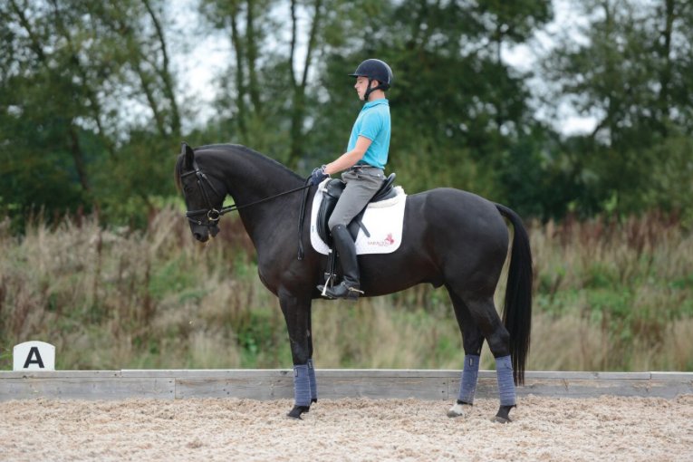 HorseandRiderUK's tweet photo. Most riders worry about every aspect of their position – or at least, they try to! #HorseHour #PerfectPosition https://t.co/EpvyVXwv3y