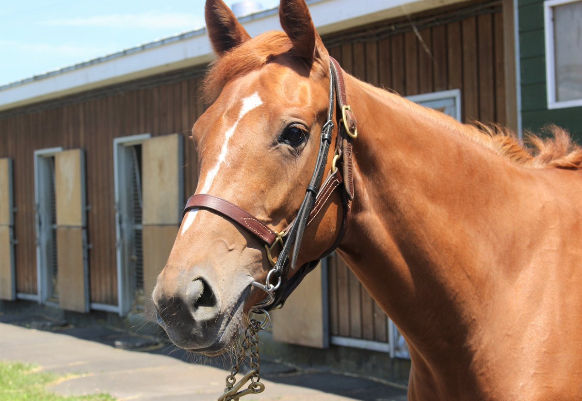 ちひろ Chihiro Gs 16年12月 Page 3 Twilog ちひろ Chihiro Gs 16年12月 Page 3 Twilog