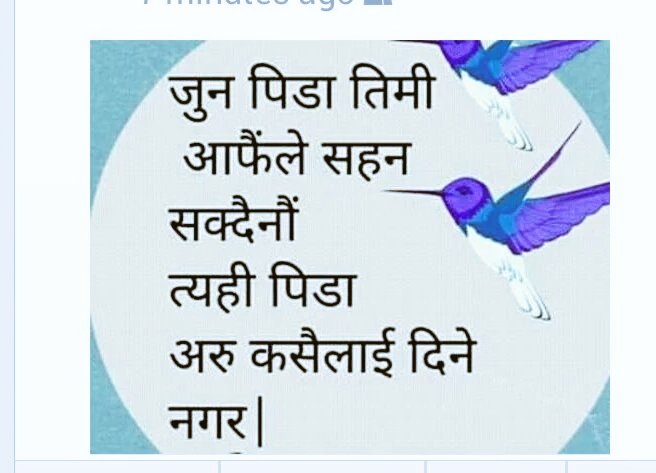 LopFirst's tweet image. 