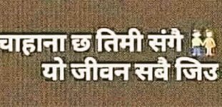 LopFirst's tweet image. 