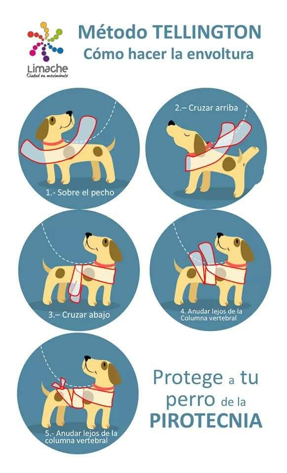 A tener todos en cuenta!...
#NoALaPirotecnia #cuidemosalosanimales