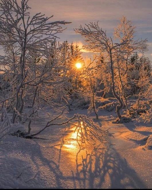 PlateiaCo's tweet photo. Sabado de fotografia #Winter #Hiver #Inverno #invierno #snow #neige #Schnee #neve #nieve #pic #foto #photo Valora la Verdad Creatividad https://t.co/Pr59jVUA4V