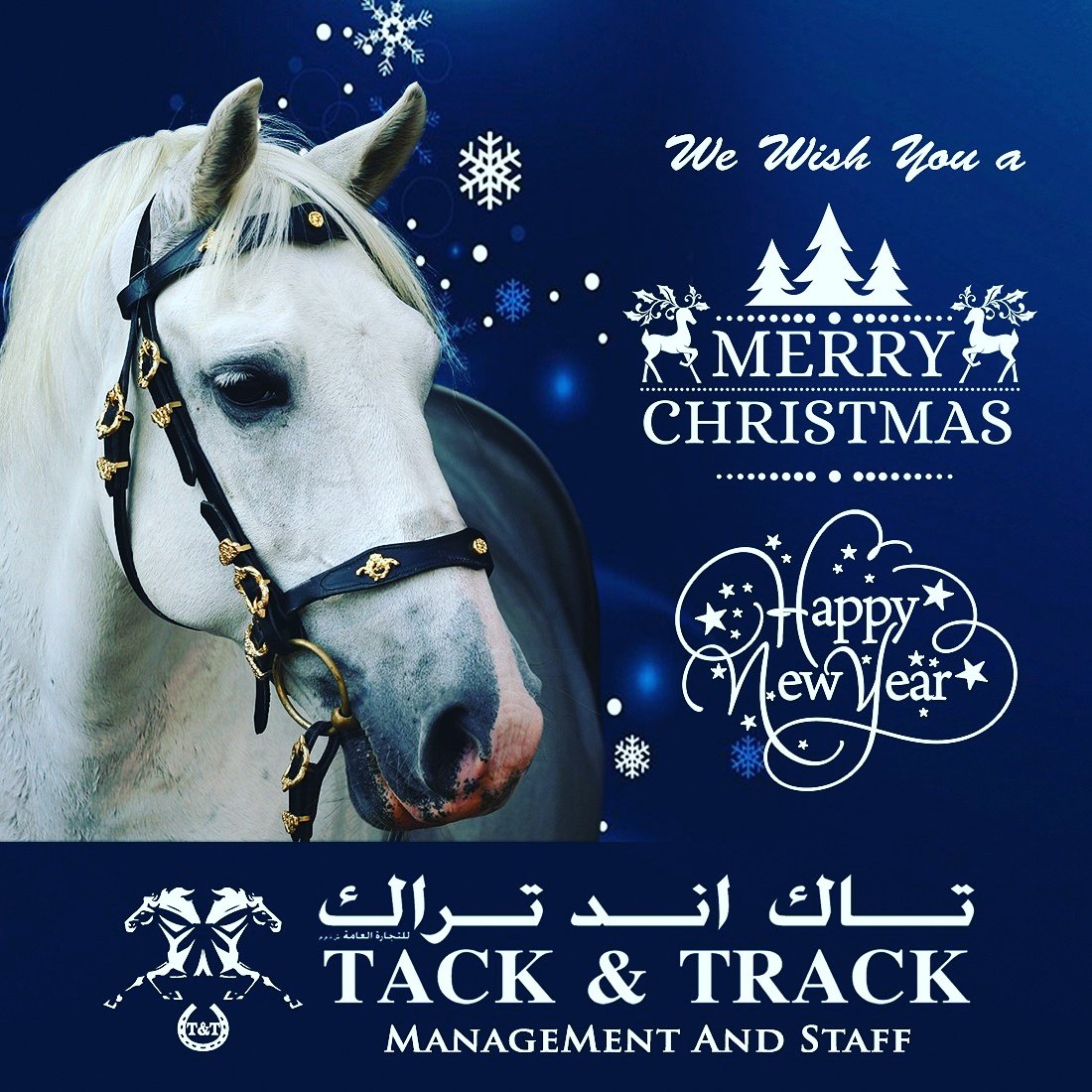 tack_online's tweet photo. Merry Christmas🎅🎅🎅

Team Tack &amp; Track

#tackntrack #horse #uae #merrychristmas #happychristmas #christmas https://t.co/C6xr85lbOE