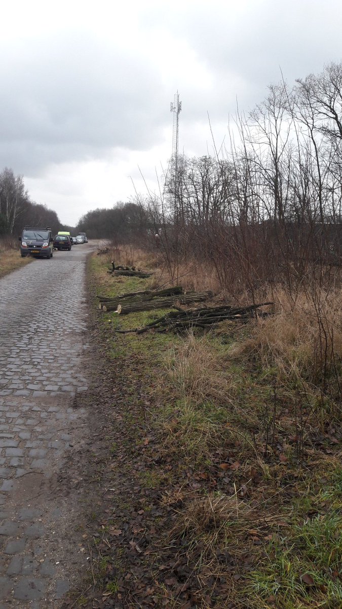 snortikker's tweet photo. @StichtingIKL Hakhoutbrigade Meinweg zaagt nog enkele acacia om @InvasieveExoten , weer meer leefgebied voor gladde slang in @npdemeinweg https://t.co/LGsu43qeba