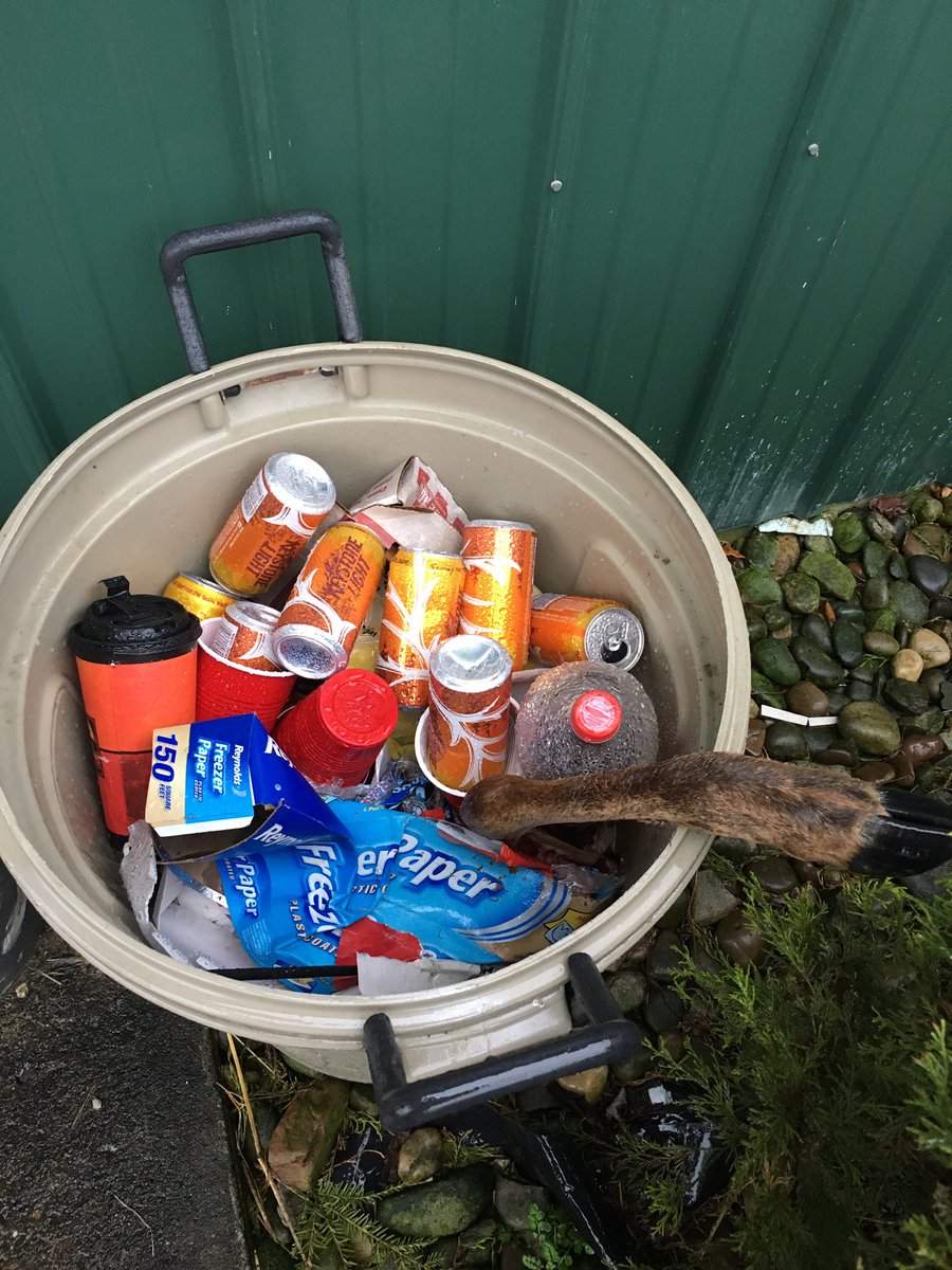 mearshannah_'s tweet photo. I have not a single explanation for finding this in one of our cans. Save Hannah from redneckery 2017 #redneckdad https://t.co/4opcLrR2Mm