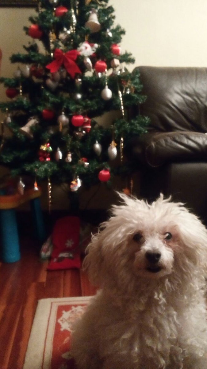 nerviotza's tweet photo. No hay mejor regalo de navidad. https://t.co/XiSdca9wxw