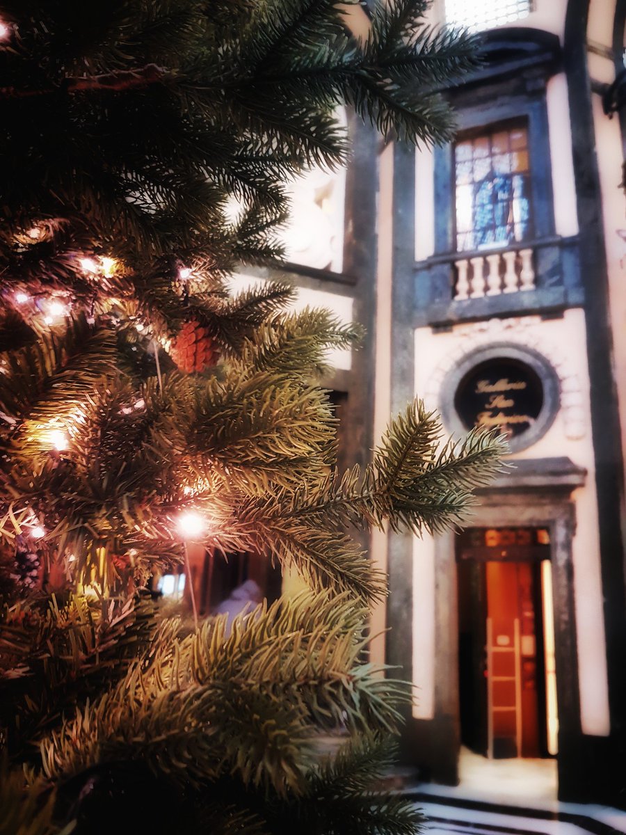 TorinoPassion's tweet photo. Pronti ad aprire i regali sotto l'albero!?!? 
#torino #turin #TorinoPassion #torinesi #ilcielosutorino #ig_turin #torinoélamiacitta https://t.co/PdrIrfEV2E