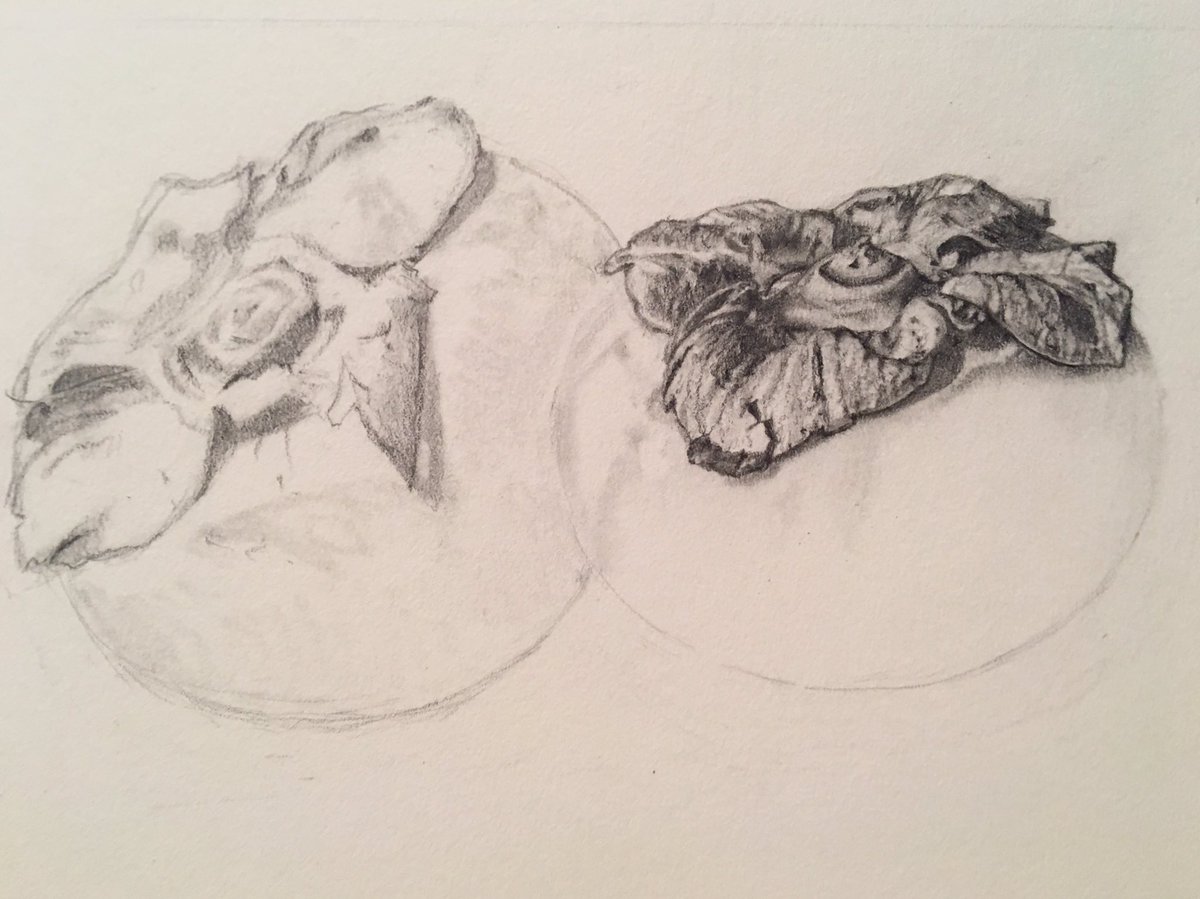 anitam_852's tweet photo. Making some progress on the persimmons drawing. #MerryChristmasEveryone #graphite #Pencildrawing #realism https://t.co/wUCCIB7vg3