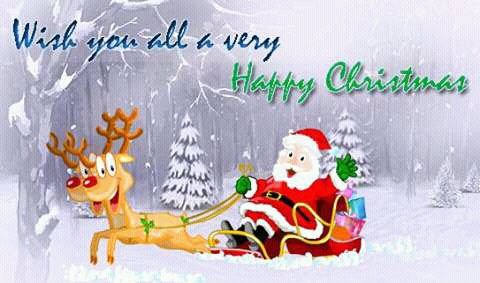 Aditayroy4's tweet photo. Merry Christmas🎄 https://t.co/Mn7CWgAOxz