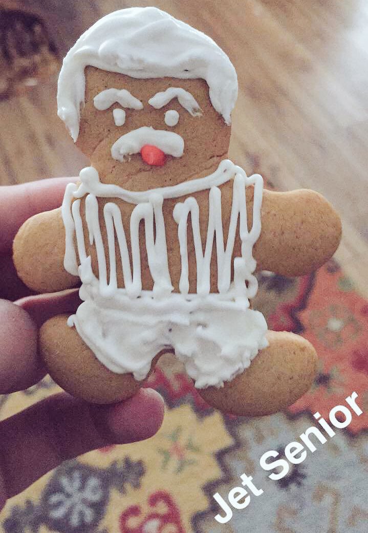 lizakoshy's tweet photo. hahah davids mom made this! it's jet! jet considers this a marriage proposal... sorry davids dad https://t.co/WCEdW7rYyI