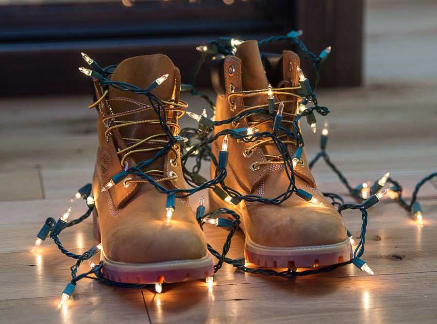 All dressed up for the holidays. bit.ly/2e2FlsN