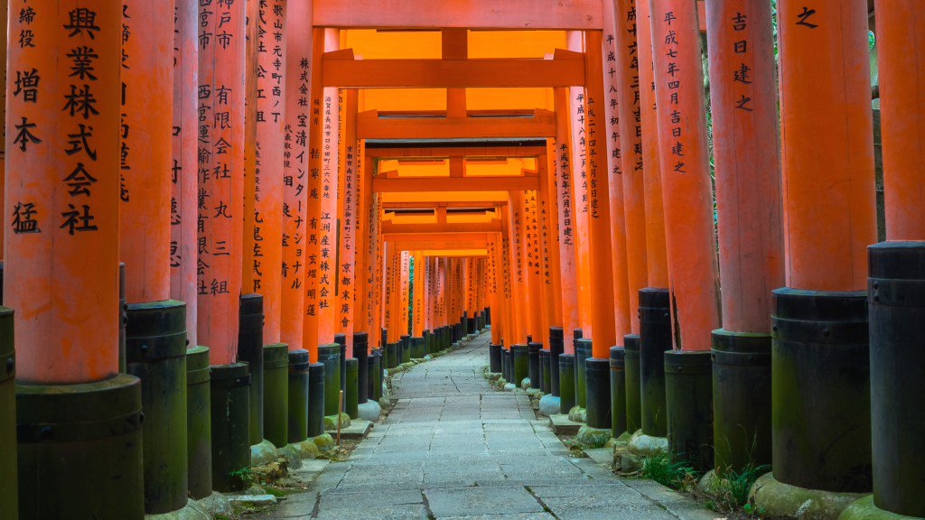 Piccapixel's tweet image. The beautiful Fushimi Inari Shine in Kyoto, Japan. Click the link to find out more about my experience! #travel

piccapixel.com/fushimi-inari-…