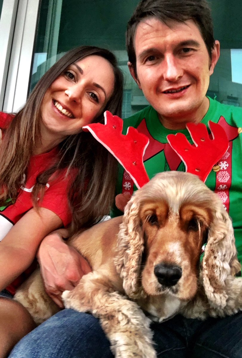 Merry Christmas <a href="/Barrie_Birse/">Barrie Birse</a> #cockerspaniel #Dubai