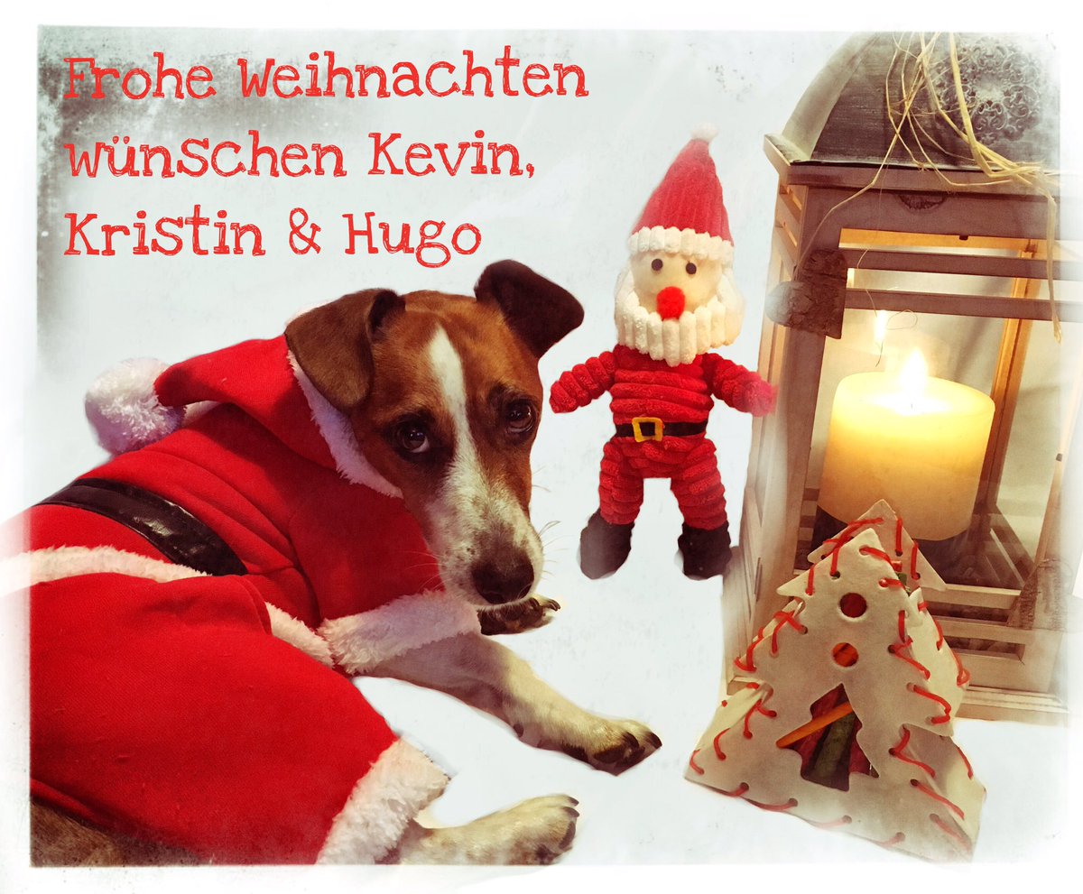HugosHundewelt tweet picture