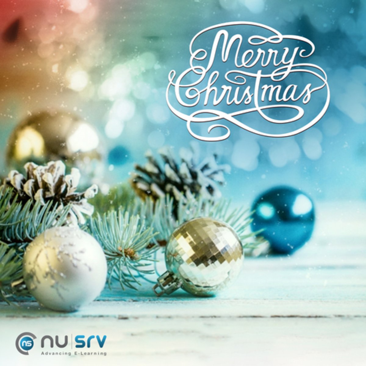 NUSRV's tweet photo. #MerryChristmas to our Christian clients and employees
#christmastree #christmas2016 #christmaseve https://t.co/WaxHdHx476