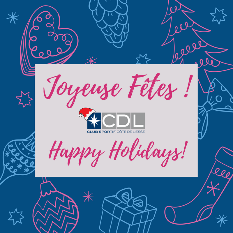Joyeuses fêtes!!

Happy Holidays!!