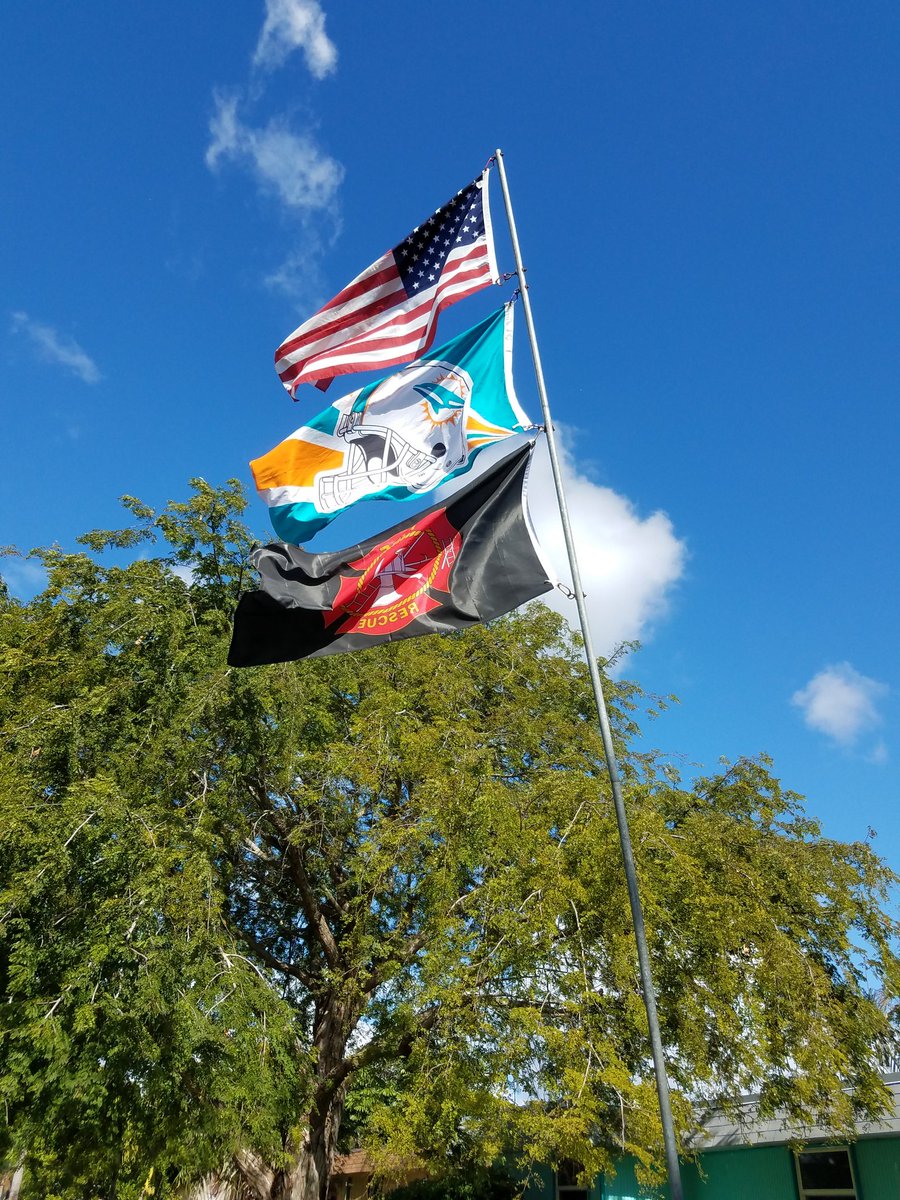 FingalNancy's tweet photo. #FlagsAreFlying #Dolphins #MIAvsBUF https://t.co/vMsy1z5L7J