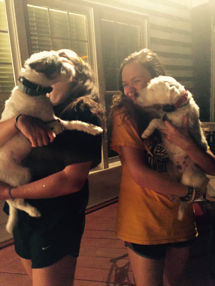 megggss11's tweet photo. happyyy birthdayyy @hbmb2410 !!! #notsoscarymovies #oujiboards #latenights #brokenlamp #finishedthewholepizza #partnerincrime #newpuppies https://t.co/ptMB4Ffo89