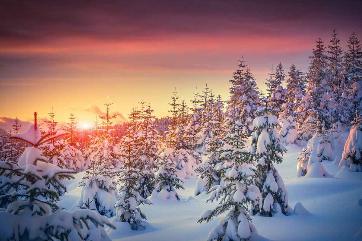 bootprints's tweet photo. Merry #ChristmasEve from @goshoulders . Enjoy your time with your families! #Celebration #Love #Festive #Happiness #timeforgiving https://t.co/GI6HhbQi81