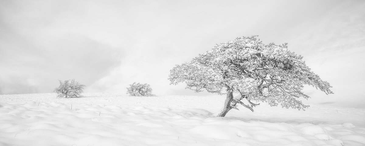 A bit of old Cumbrian snow for Christmas Eve