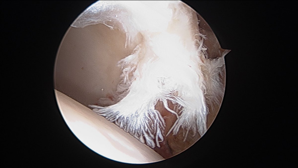 Dr. Derek Ochiai tweet media