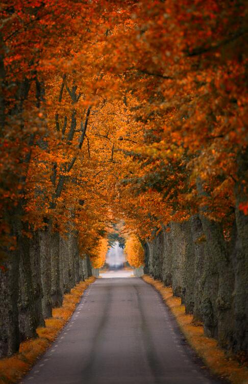 QuieroViajarWoW's tweet photo. Husby - Suecia.  Vía #ElMundoEnFoto #EsMexico https://t.co/UavMXFoewu
