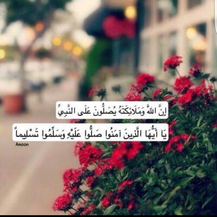 saad_713's tweet photo. #صلوا_على_النبي
#يوم_الجمعه
#المدينة_المنورة

حياة جميله تنتظرك بالرابط 👇

 https://t.co/WxD1Vb537V https://t.co/qp2WikjeLH