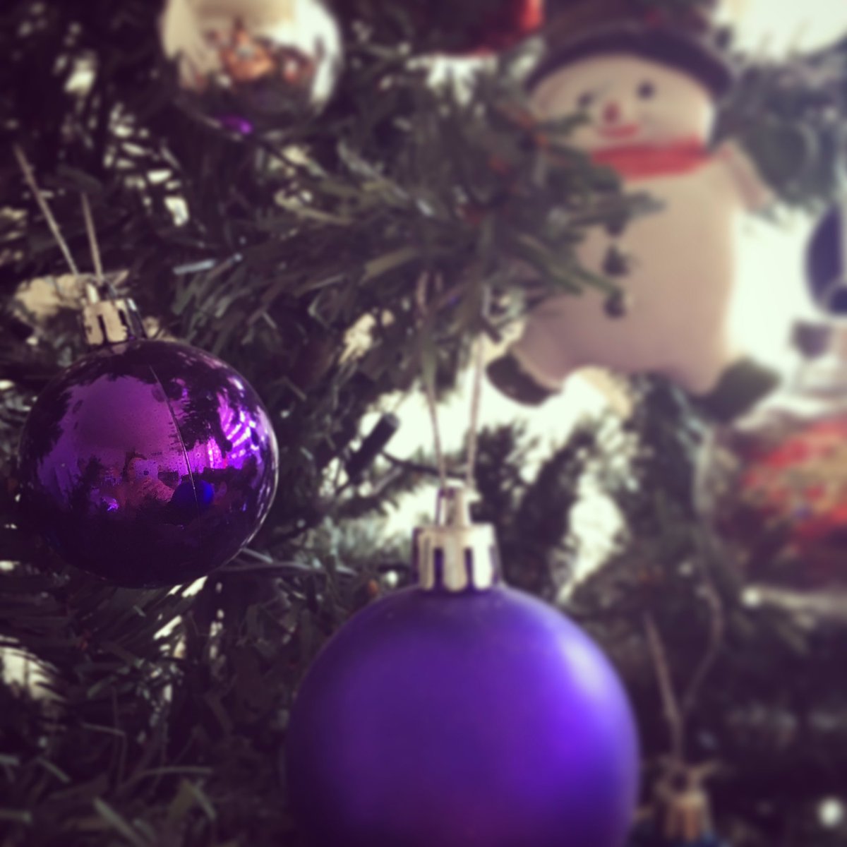 Latente Documental tweet media