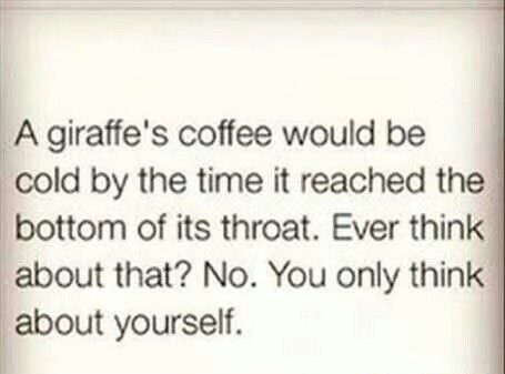 thegibster97's tweet image. 