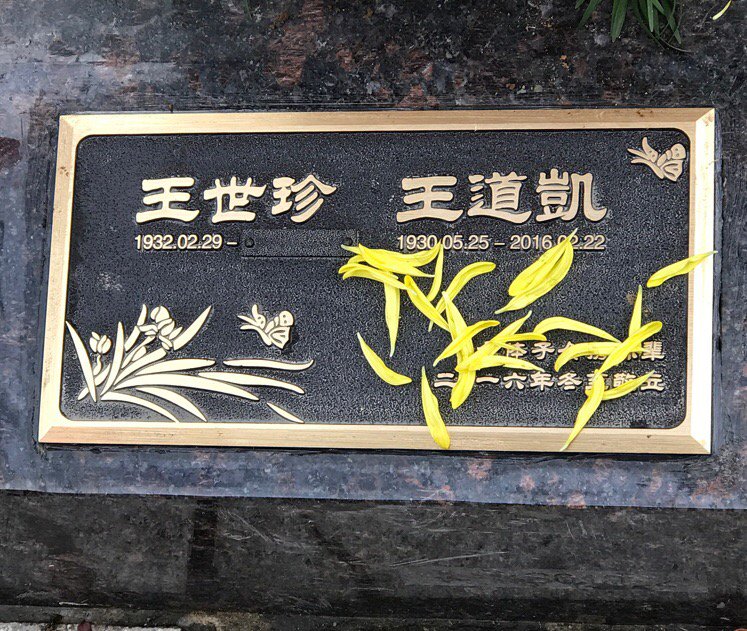 wangyang tweet media