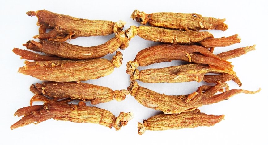 modafinilio's tweet photo. Red Ginseng for ADHD #adhd #ginseng https://t.co/5jEYEhxsUK https://t.co/dZutt2gJq7