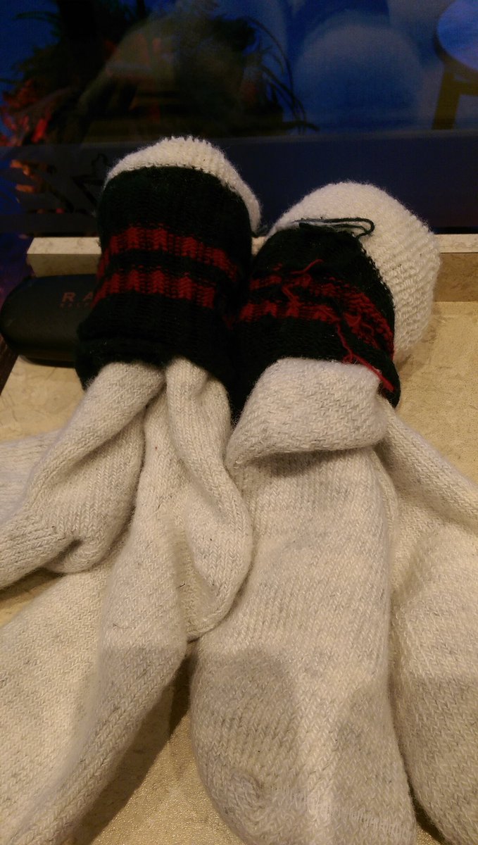 🇨🇦 Merlin 🇨🇦 tweet media