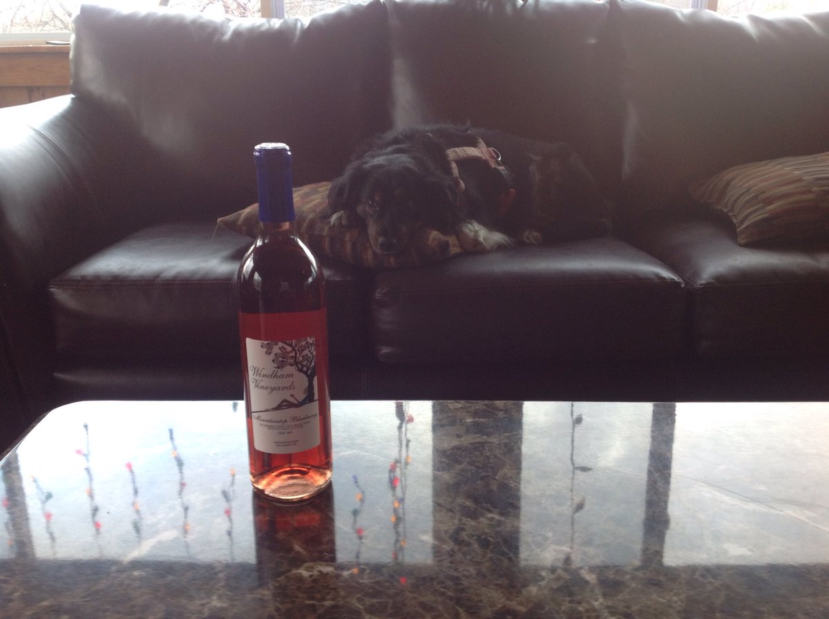 windhamvaw's tweet photo. Pijou's tuckered out after bottling more Blueberry. Winery closes at 4 Christmas Eve, reopen Thursday. https://t.co/6hpKZpqDP4