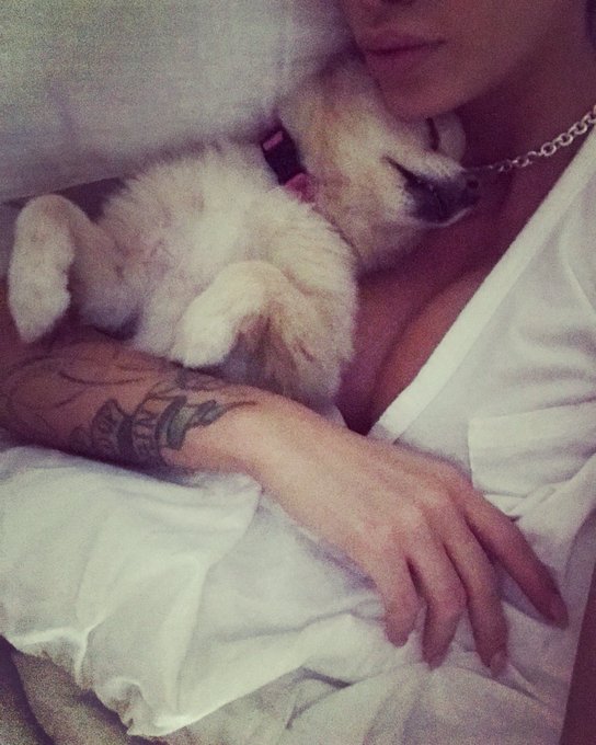 Good morning! So happy to be waking up with my Lils. 🐶🐶 #pommymommy https://t.co/oxzjC51itW<a href="/tag/pommymommy"class="tags"><span>#pommymommy</span></a>