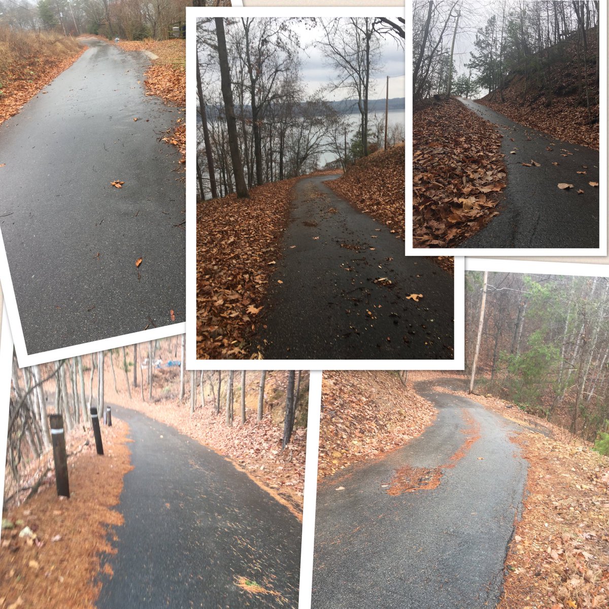 AZfashiongal69's tweet photo. Used to kick these hills 🍑. Now they kick mine #oldback #oldknees #oldageprobs #Mississippi https://t.co/WwrPLXcxRE