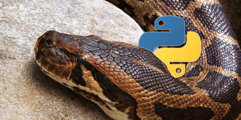 SoftwareTopNews's tweet image. Upgrading and #UsingPython 3 on a Mac: mambolook.com/python-language, mambolook.com/link/7169211