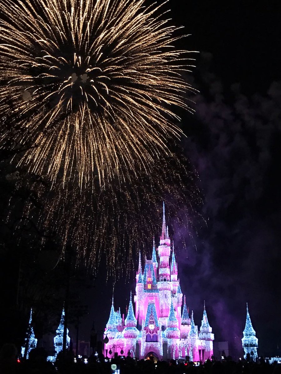 disneydolls16's tweet image. No saben lo lindo que es el show, en este momento desconectense del mundo, vívanlo a pleno porque es único #funtimetips