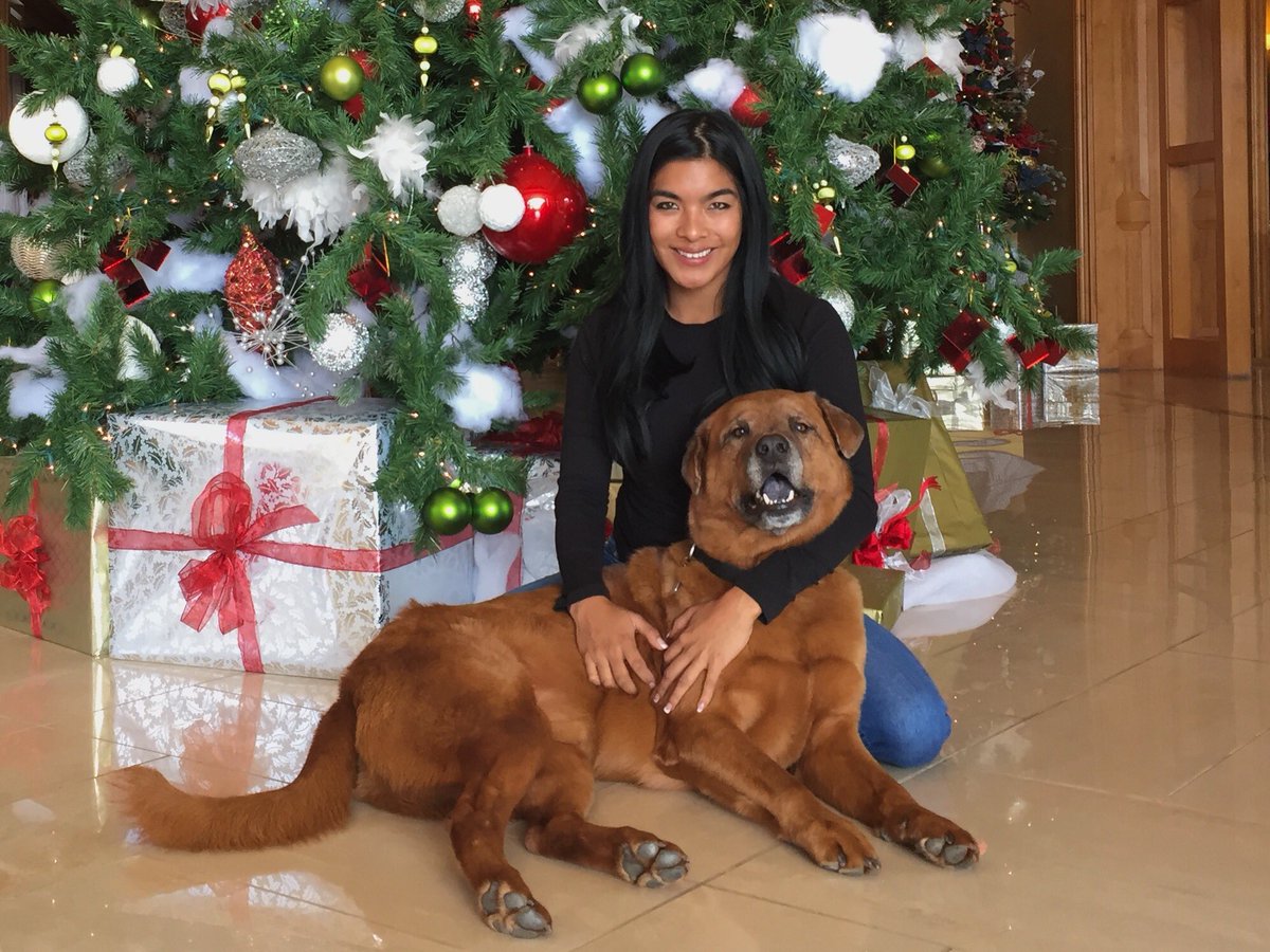 beastsNballers's tweet photo. Merry Christmas from our @BarkingBeast family to yours! 🐶🎄 https://t.co/tqrKvYs5M7