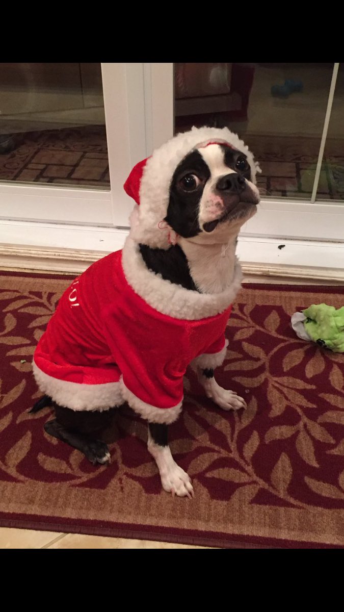 AaronOKirby's tweet photo. Merry Christmas, Help Me! https://t.co/7ognOlvRj6