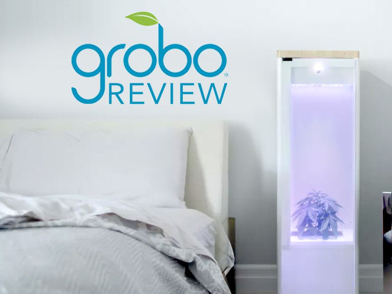 Topdown_Weed's tweet photo. Our Grobo Review examines how the Grobo can help customers grow their own cannabis. https://t.co/8MTwvjW8N1 https://t.co/ySY8i6MEPP