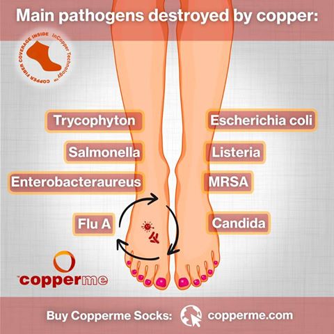 copperme_socks's tweet photo. Make your #feet #healthy with #copperme. Know us
www. https://t.co/YpzAMVfyin #feet #socks #feetlovers #healthy #health #tights https://t.co/oVl7DrIbka