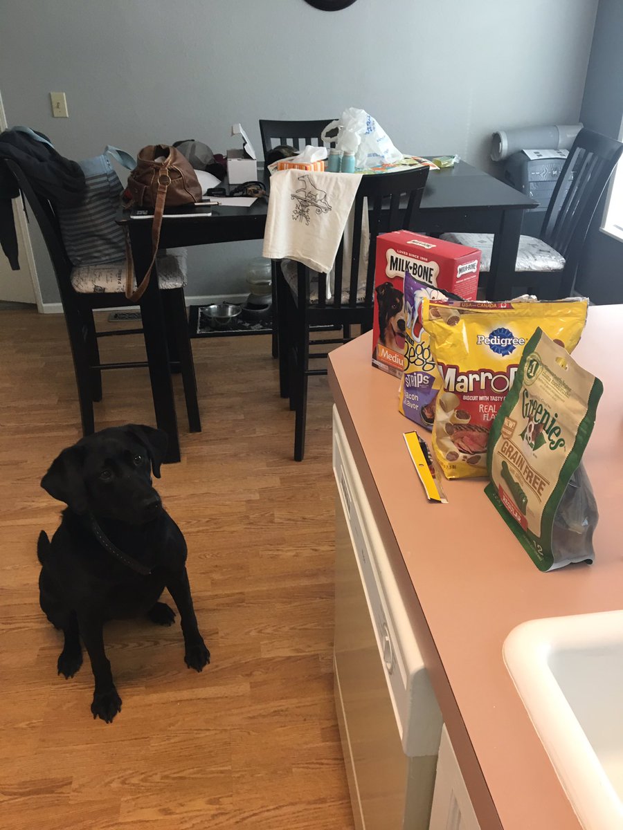 linville5's tweet photo. Jett got her Christmas present early 😍😊 https://t.co/y1JiefOB2J