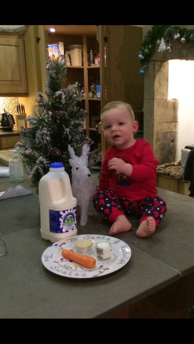 joylanfarms's tweet photo. #alreadyforsanta mince pie, carrot, milk- check. https://t.co/Z9Pz8ragIW